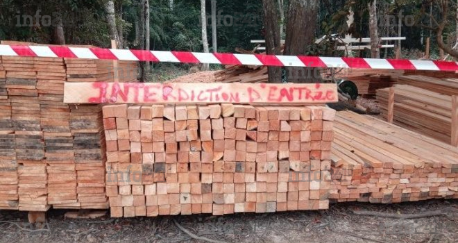 Lambaréné : Un élu local au cœur d’un scandale d’exploitation forestière illégale avec sa famille