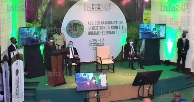 Ouverture à Libreville des premières Assises nationales sur le conflit homme-éléphant