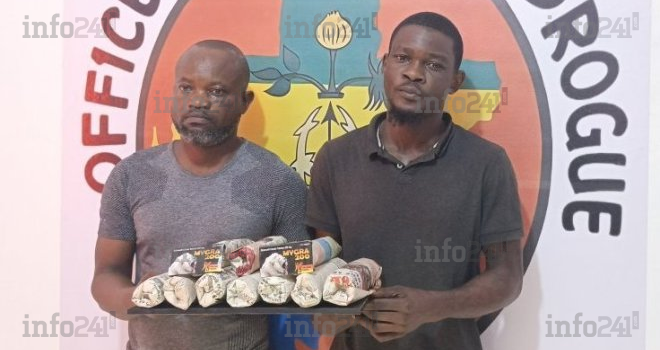 Port-Gentil&nbsp;: Fin de course pour deux dealers et leurs 50 bottes de chanvre d’une valeur de 1,6 million