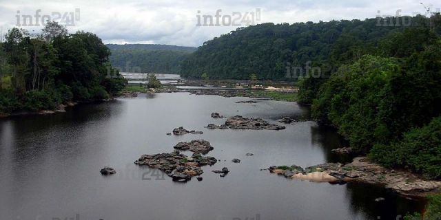 D’autres centaines de carpes retrouvées mortes dans des lacs de l’Ogooué-Maritime