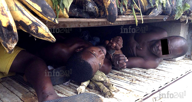 Gabon&nbsp;: des immigrants clandestins cachés sous des régimes de bananes
