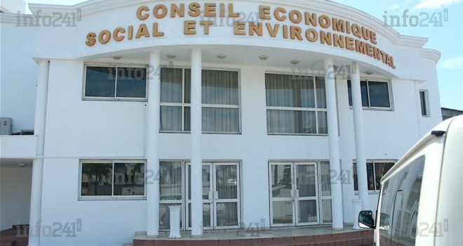 Transition : Quels sont les 60 membres du Conseil économique social et environnemental ?