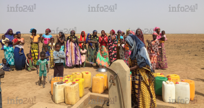 Sahel : Plus de 5 millions de déplacés en insécurité