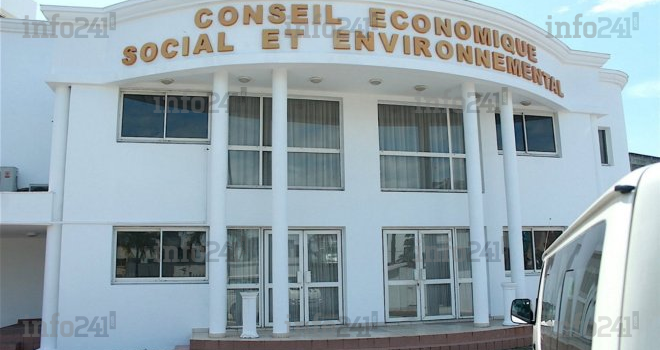 Transition : Quels sont les 60 membres du Conseil économique social et environnemental ?