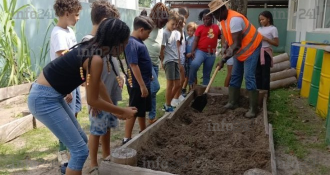 Alimentation saine : Des élèves initiés à l’agriculture biologique à l’école à Port-Gentil