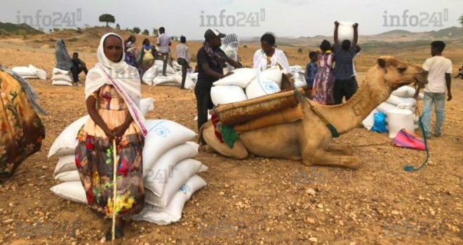 Ethiopie : Accusés d’ingérence, 7 dirigeants d’agences de l’ONU sommés de quitter le pays