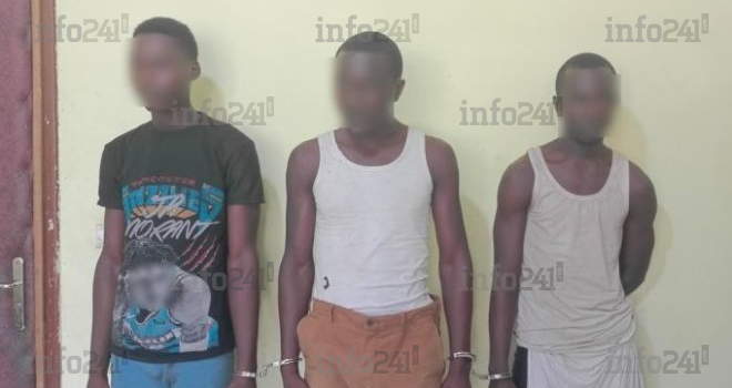 Trafic de kobolo&nbsp;: Un étudiant, un &laquo;&nbsp;cultivateur&nbsp;&raquo; et un récidiviste démasqués puis jetés en prison