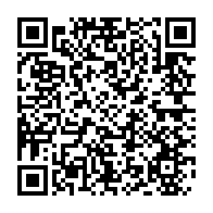 qrcode:https://www.news241.com/mouila-un-gorille-qui-y-semait-la-panique-finit-sa-course-dans,8551