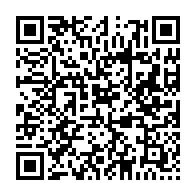 qrcode:https://www.news241.com/du-terrain-politique-a-l-amour-zora-kassa-et-kevin-nzigou,10555