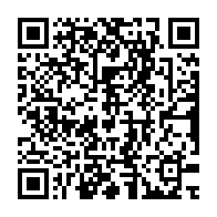 qrcode:https://www.news241.com/niger-la-france-accuse-d-avoir-mene-une-attaque-et-libere-des,8114