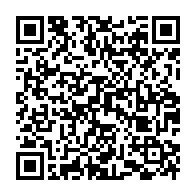 qrcode:https://www.news241.com/electricite-deux-navires-prets-a-produire-mais-le-gabon-tarde-a,9707