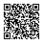 qrcode:https://www.news241.com/un-mort-et-dix-blesses-aux-portes-de-ntoum,398