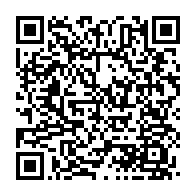 qrcode:https://www.news241.com/libre-circulation-en-zone-cemac-des-concertations-a-libreville,113