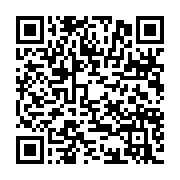 qrcode:https://www.news241.com/rdc-un-avion-de-chasse-atteint-par-une-frappe-de-l-armee,1626