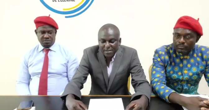 Chômage technique&nbsp;: les agents du ministère de l’Agriculture réclament les missions de l’Agasa