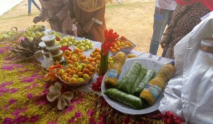 Rideau sur la foire commerciale agricole marigovéenne prix bas de Port-Gentil